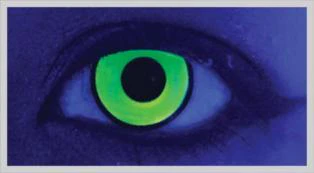 Eggi Weg Green Halloween Contact Lenses - Image 2