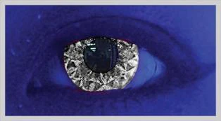 Gezae Grey Halloween Contact Lenses - Image 2
