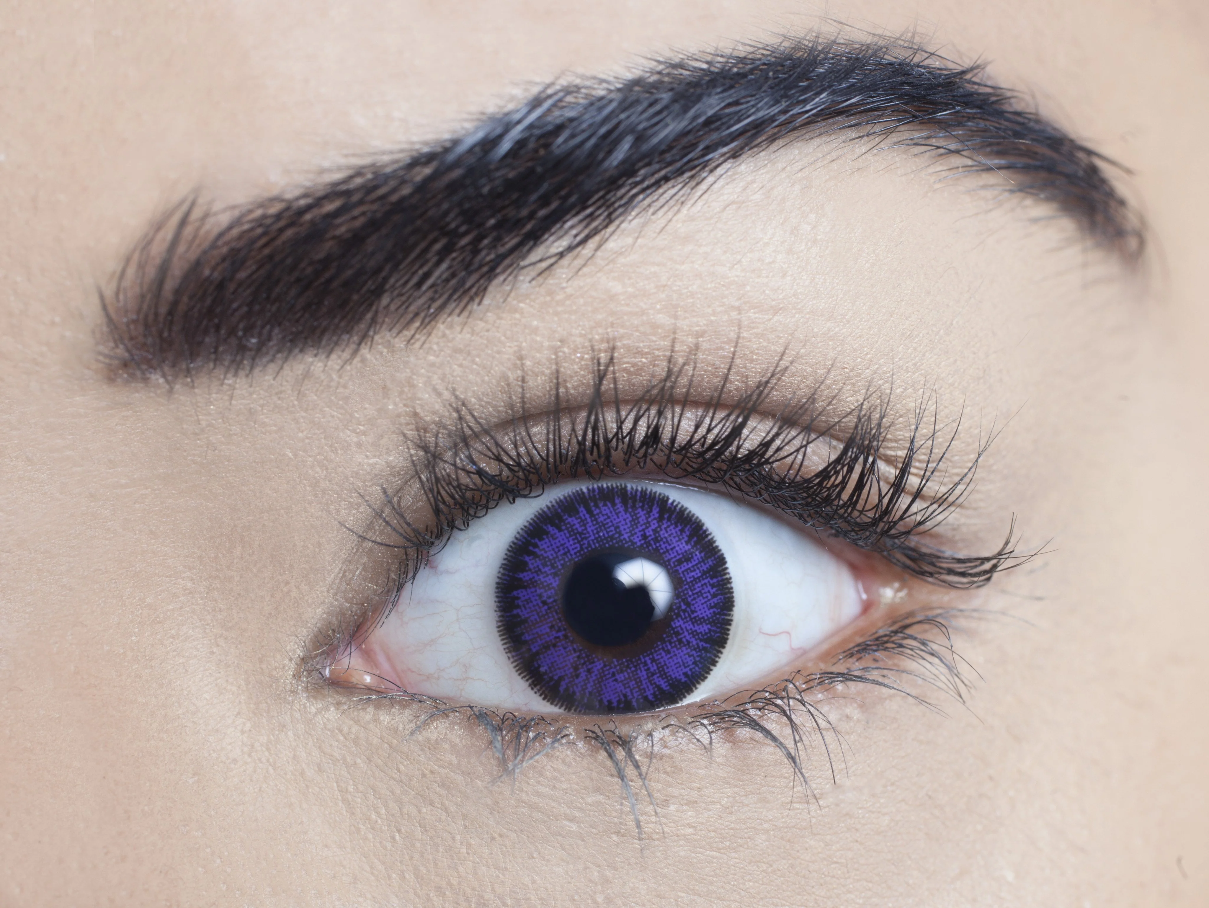Violet - 1 Day Natural Coloured Contact Lenses - Image 2