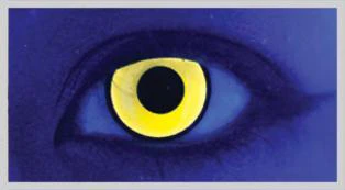 Mal Chick Yellow Halloween Contact Lenses - Image 2